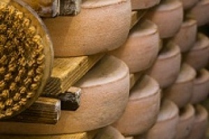 Президент алтайского союза сыроделов рассказал, сколько должен стоить "нормальный" сыр