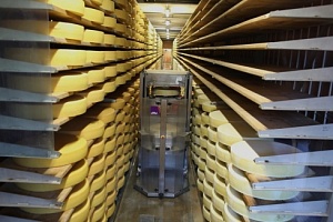 Производство сыра Грюйер в Швейцарии